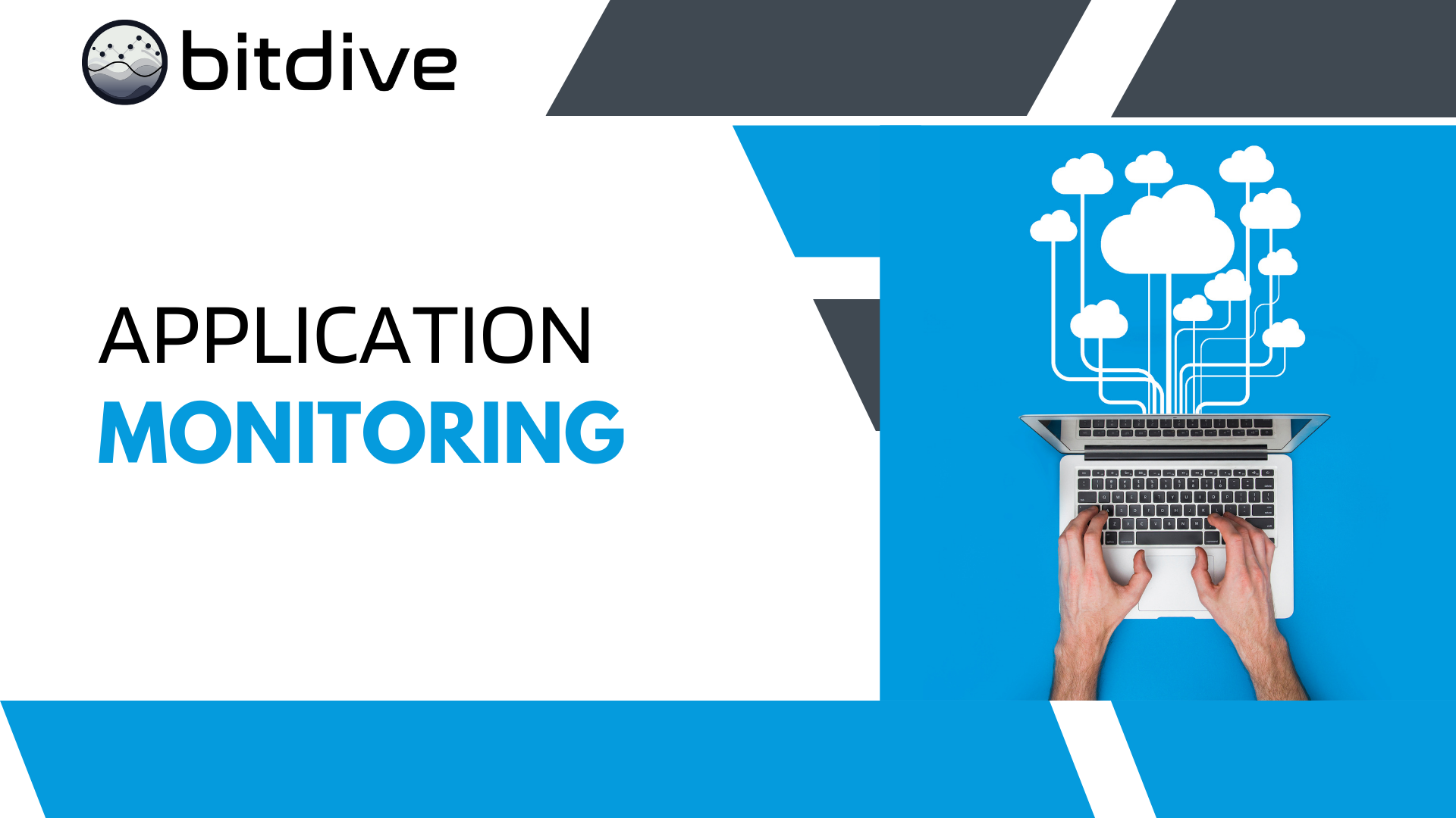 BitDive Application Monitoring - Real-time dashboards for Java performance and system health tracking