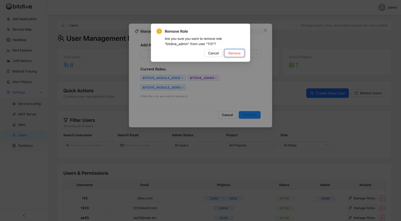 BitDive User Filtering - Searching and filtering team members by email, admin status, or project