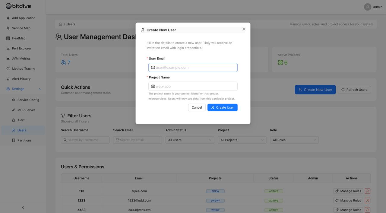BitDive Users &amp; Permissions Table - Managing project access and administrative roles per user